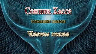 К чему снится Члены тела сонник, толкование сна