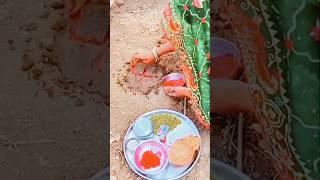 || Kisan ki Mehnat Sanatan Hindu || #kisan