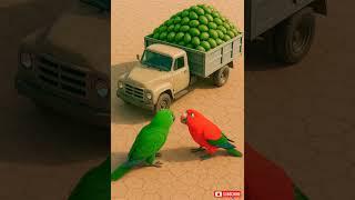 The parrot sells her eggs to buy food for the animals  #ai #parrot