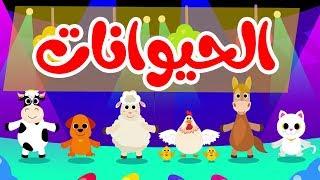 أنشودة الحيوانات |  أناشيد وأغاني أطفال باللغة العربية