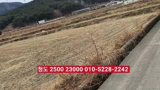 청도부동산 전원주택지 카페부지 투자땅 2500㎡ 매2억3000만 청도 창녕간 터널예정 계획관리지역 부동산급매물구합니다.