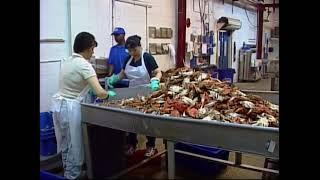 Tumey's Travels: Boiling Crabs At Tony's Seafood