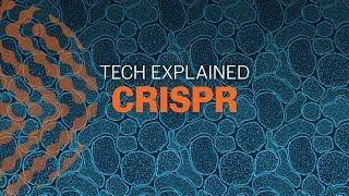 What is CRISPR?