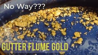 Turing Trash into GOLD Gutter Glory North Carolina Gold Prospecting ️