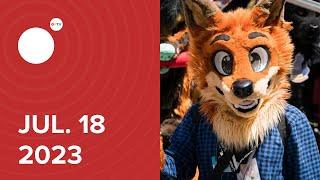 #Anthrocon: the world's biggest furry convention