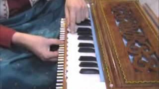 22 Shruti Harmonium structure