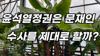 윤석열 정권은 문재인 수사를 제대로 할까?