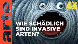 Sind invasive Arten besser als ihr Ruf? | 42 - Die Antwort auf fast alles | ARTE