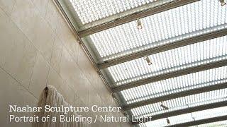 Nasher Sculpture Center: Natural Light