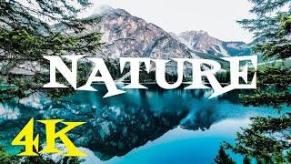 Beautiful Nature Scenery in 4K Ultra HD - Royalty Free Stock Video Footages