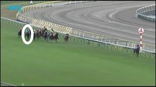 Crazy Horse Race Finish - Equinox Tenno Sho G1