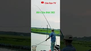 Short √Bo bằng chết √Hồ Câu Đài 365@Câu Dạo Tv