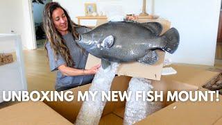 How to Unbox a Fish Mount!! Mount This Fish Co.