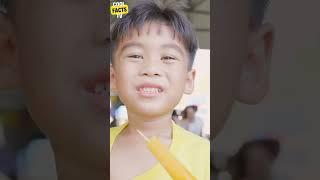 Chilled to Perfection: The Accidental Invention of Popsicles by an 11-Year-Old