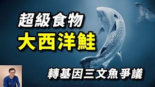 靠轉基因獲得強大特性，卻引發諸多爭議，「人造」大西洋鮭魚會成為超級食物嗎？轉基因三文魚【老肉雜談】#動物 #野生動物 #海洋生物 #鮭魚 #salmon