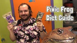  What Should I Feed My Pixie Frog:? - A Pixie Frog Diet Guide!