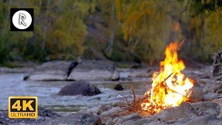  Crackling Fire by the River w/ Owls - Relaxing Sounds for Insomnia, Sleep