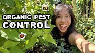 Easy Recipes for Organic Pest Control You Wish You Knew Sooner!