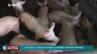 Ferme MARIE OLIVE LEMBE KABILA, Visite Guidée