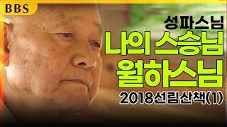 |특집|성파대종사 종정예하 추대기념특집_2018선림산책 1부 "성파스님의 스승, 월하스님"