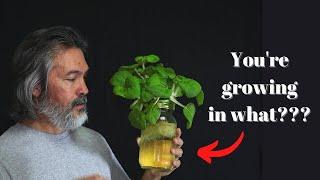 Best Video for Failed Gardeners and Hydroponic Beginners