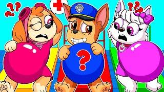 Paw Patrol Ultimate Rescue | Brewing Cute Factory! But CHASE Is PREGNANT?! - Funny Story | Rainbow 3