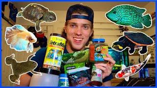 What I Feed ALL MY PETS! (Turtles, Fish, & More!)