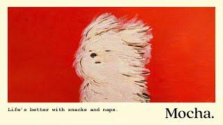 windy puppy.