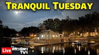 Live: Tranquil Tuesday  - Riding Boats around the Disney Springs Resorts - Walt Disney World