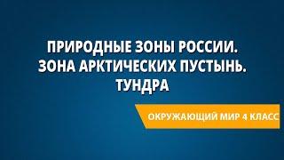 Природные зоны России. Зона арктических пустынь. Тундра