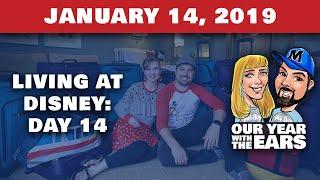 Day 14 Living at Disney World - Our Year With The Ears - January 14, 2019