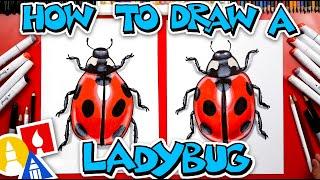 How To Draw A Realistic Ladybug