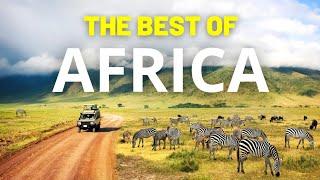 Top 10 Safari Destinations | Safari Destinations 2023 | Travel Video