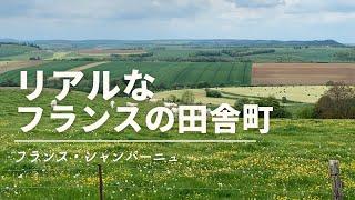 【フランス・シャンパーニュ田舎暮らし】観光客がいないフランスの田舎町を散策