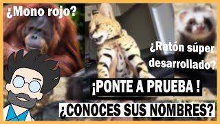 ¡¡Desafío de Cultura!!  ¿Conoces sus nombres?   [Fast Test 03 | Adivina los Animales]