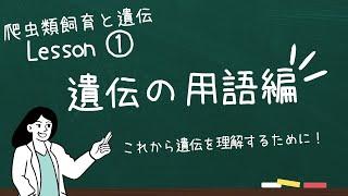 【爬虫類飼育と遺伝】①遺伝の用語集