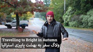 ولاگ سفر به بهشت پاییزی در استرالیا، ایالت ویکتوریا | Autumn Bliss: Bright's Seasonal Serenity