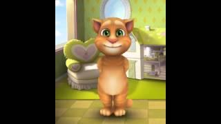 My Talking Tom Gameplay Video