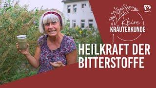 Heilkraft der Bitterstoffe - Immunsystem stärken | Mini Kräuterkunde mit Ruth Pfennighaus