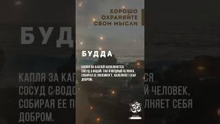 Наслаждайтесь внимательностью! Хорошо охраняйте свои мысли!» Будда #shorts #shortsvideo
