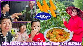 DIDESA TERPENCIL CHINA BANYAK SAYURAN TINGGAL PANEN DAN MASAK, PERTAMA KALI MASAK BABY JAGUNG+UDANG