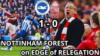 BRIGHTON BEAT NOTTINGHAM FOREST 1-0 | Brighton 1-0 Nottingham Forest | MATCHDAY VLOG BRIGHTON FOREST