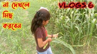 আমি যেই স্কুল পড়শোনা করি || Cute girls vlogs 6 | safwan musafir vlogs | village vlogs | @shirazi786