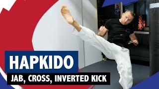 Tutorial Hapkido combination: Jab, cross, inverted kick