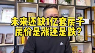 27. 未来还缺一亿套房子，房价是涨还是跌？