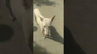 a aise kaise Naha Lun#viral #video 