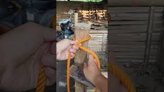 Popular Knots! Which is very easy, fast, and reliable!