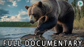 WILD AMERICA: TIME OF THE GRIZZLY  Full Exclusive Documentary Premiere  English HD 2025