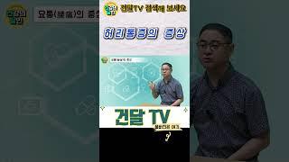 [건달TV] 허리 통증의 증상 #허리통증#요통#건달TV#건강정보