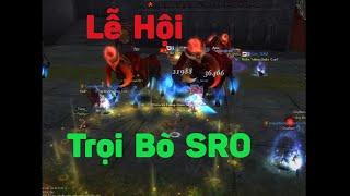 lễ hội chọi bò SRO AoLangTv